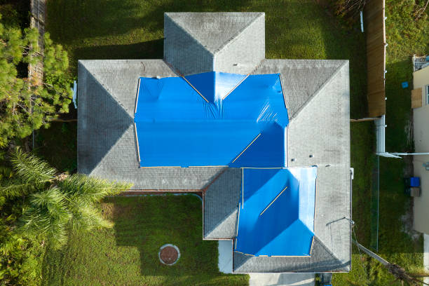 Best Solar Panel Roofing Installation  in Portage, MI