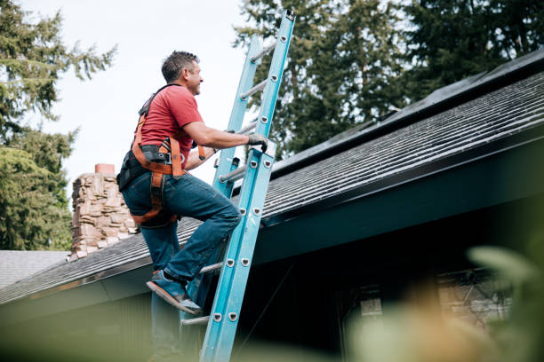 Steel Roofing in Portage, MI